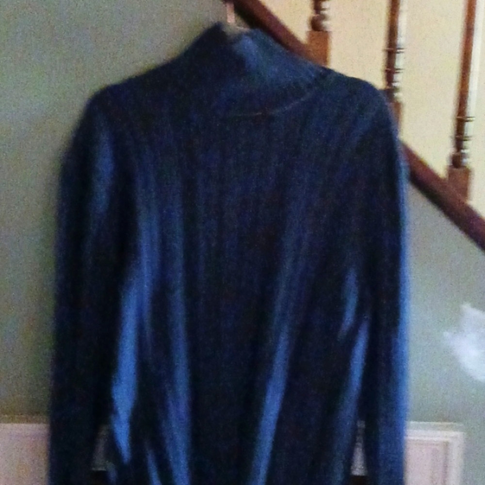 Express  turtle neck sweater